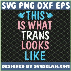 this is what trans looks like transgender lgbt pride svg png dxf eps design cut files image clipart by SvgSelah