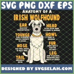 Anatomy Of A Irish Wolfhound SVG PNG DXF EPS 1