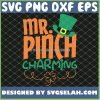 St PatrickS Day Leprechaun Hat Mr Pinch Charming SVG PNG DXF EPS 1
