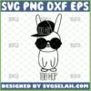 too hip to hop svg hip hop bunny svg by SvgSelah