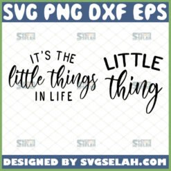its the little things in life svg