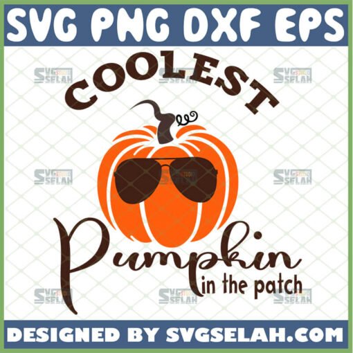 coolest pumpkin in the patch svg