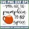you are the pumpkin to my spice svg by SvgSelah