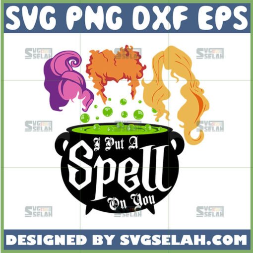 i put a spell on you hocus pocus svg