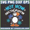 not now arctic puffin svg