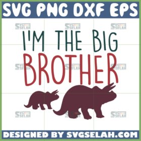 im the big brother svg