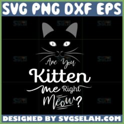 are you kitten me right meow svg cute face cat svg by SvgSelah