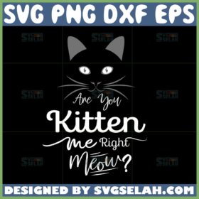 are you kitten me right meow svg cute face cat svg