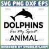 dolphins are my spirit animal svg dolphins silhouette svg